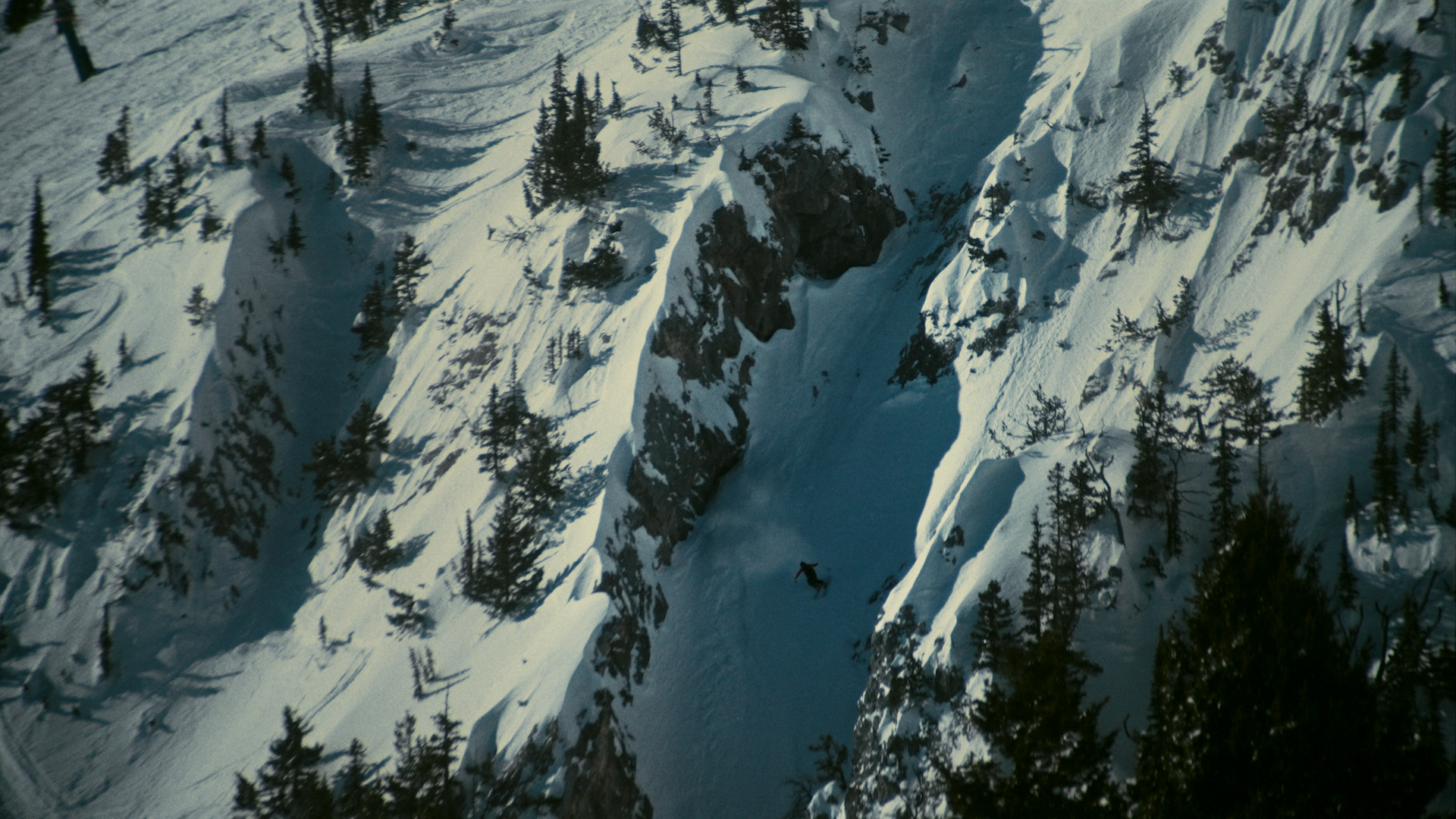 Bridgers_Ian_Avery-Leaf_02